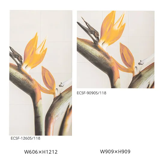ecsf-xxxxs-118-cf_02
